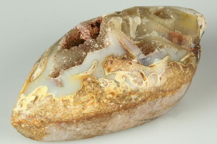 Chalcedony Replaced Gastropod With Sparkly Quartz - India #188795